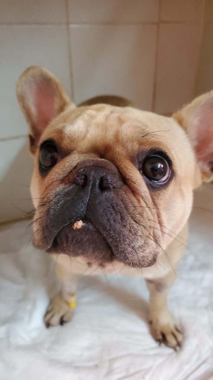 Foto